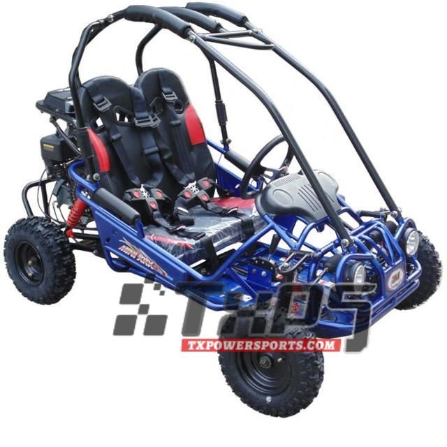 Carb Approved TrailMaster Mini XRX/R GoKart