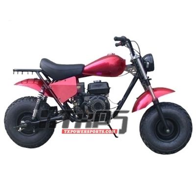 TRAILMASTER MB200-2 MINI BIKE