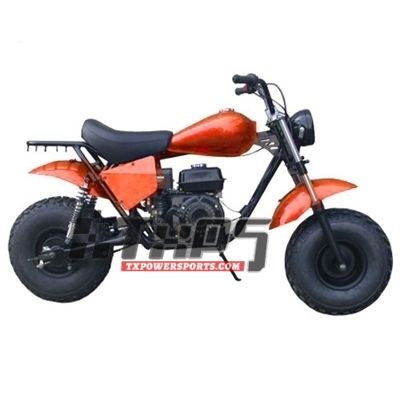 TRAILMASTER MB200-2 MINI BIKE