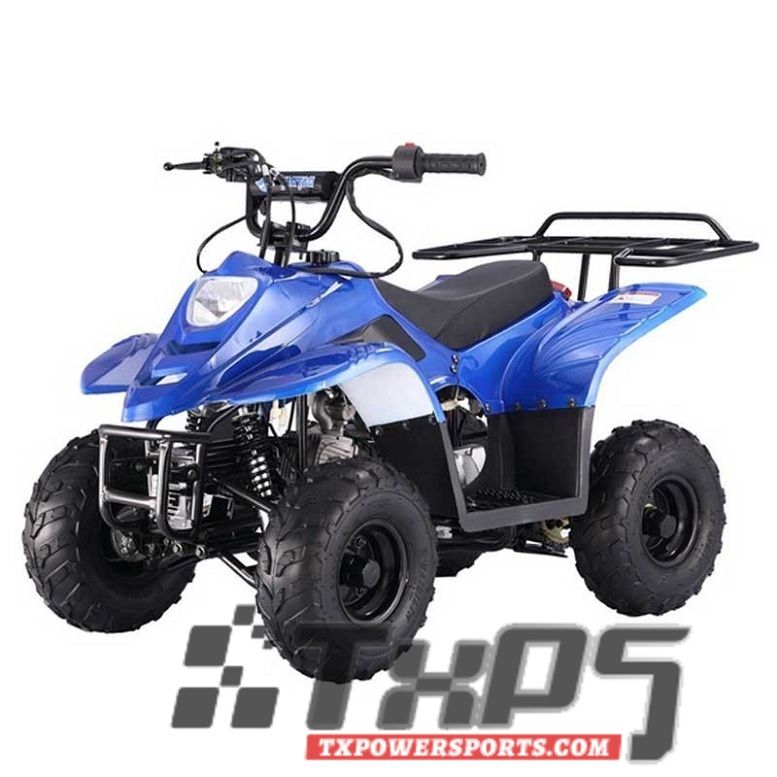 Buy The TaoTao ATA-110 B1 | Kids ATV 110cc For Sale Online