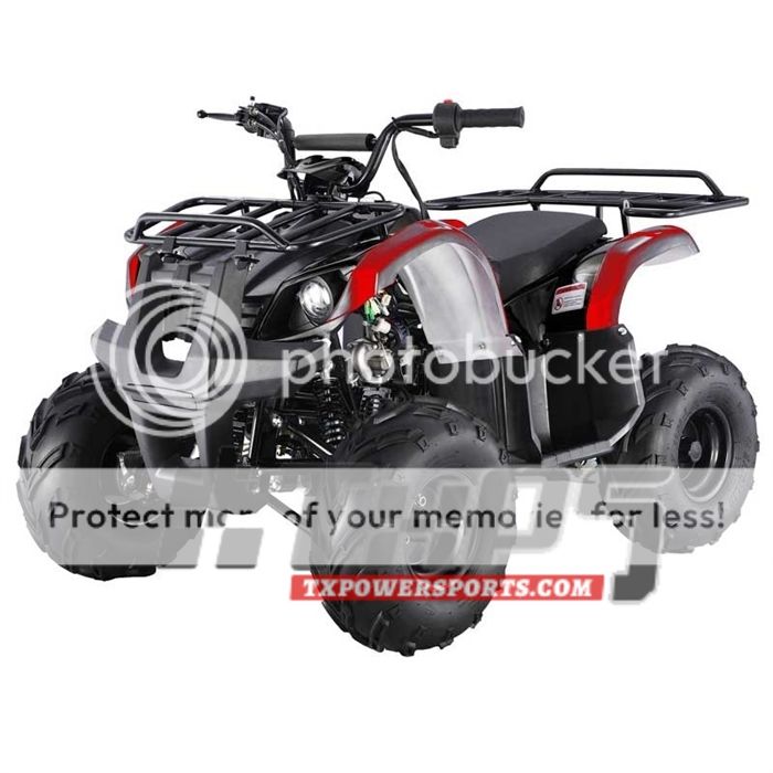 Buy the TaoTao ATA-125 D ATV | Kids 120cc Four Wheelers