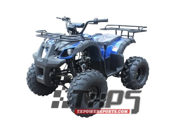 Tao Tao 125 Atv Ata 125 Cheetah Taotao Cheetah 125cc Online
