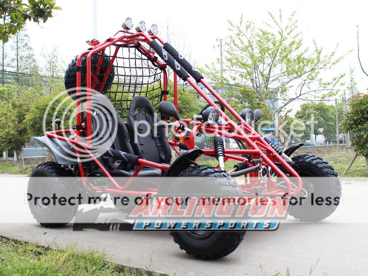 DF 200cc Go Kart Power Buggie