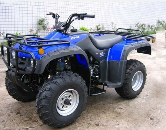 Monster 250 cc ATV