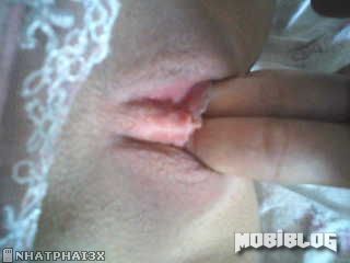 © Mobiblog.Org