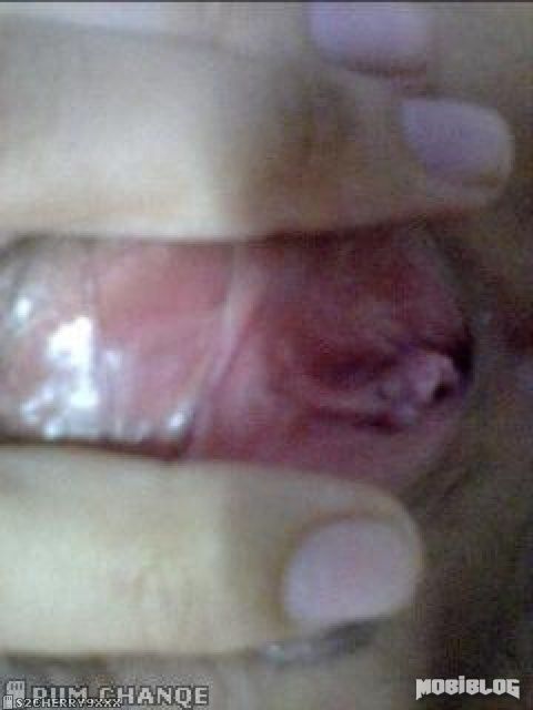 © Mobiblog.Org