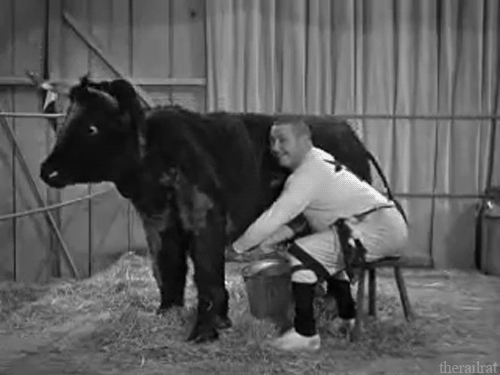 Cashcow Zpssl5trz6l